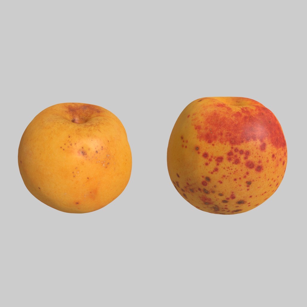 2x apricots preview image 1